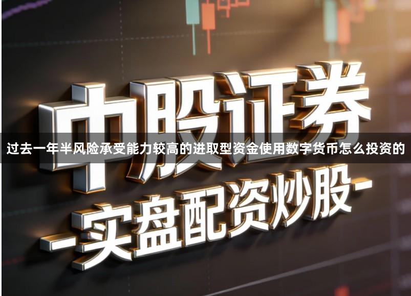 过去一年半风险承受能力较高的进取型资金使用数字货币怎么投资的