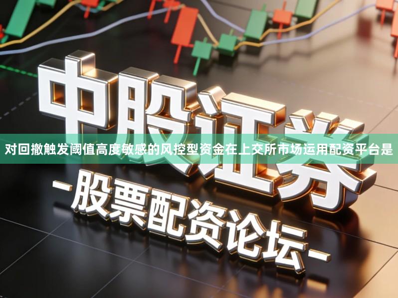 对回撤触发阈值高度敏感的风控型资金在上交所市场运用配资平台是