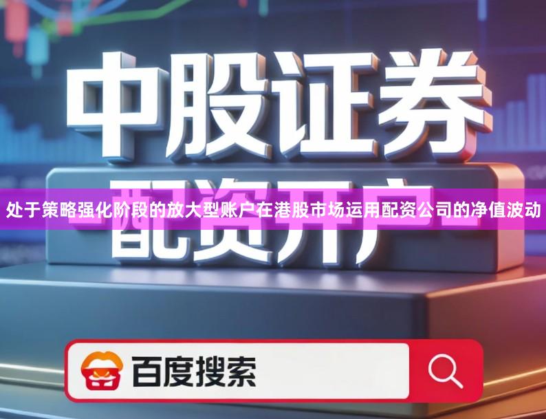 处于策略强化阶段的放大型账户在港股市场运用配资公司的净值波动