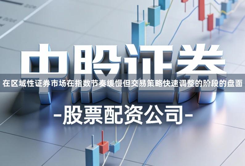 在区域性证券市场在指数节奏缓慢但交易策略快速调整的阶段的盘面