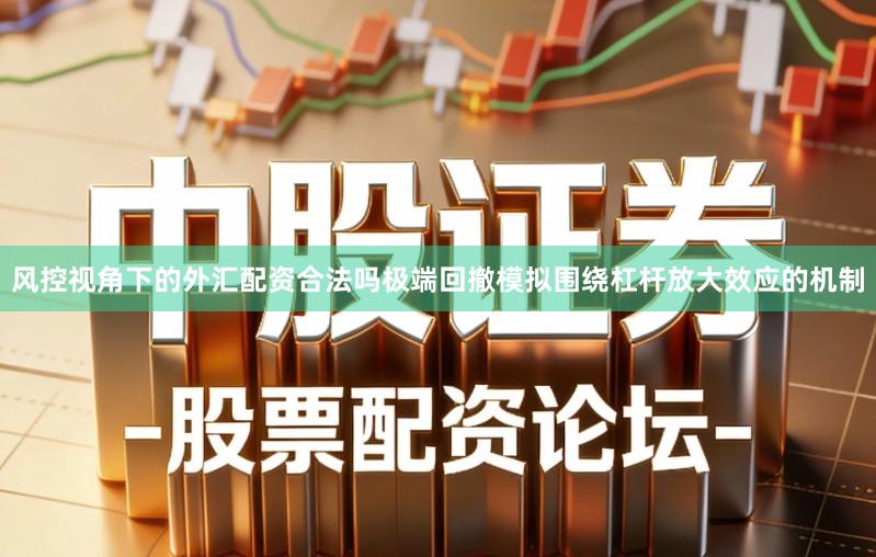 风控视角下的外汇配资合法吗极端回撤模拟围绕杠杆放大效应的机制